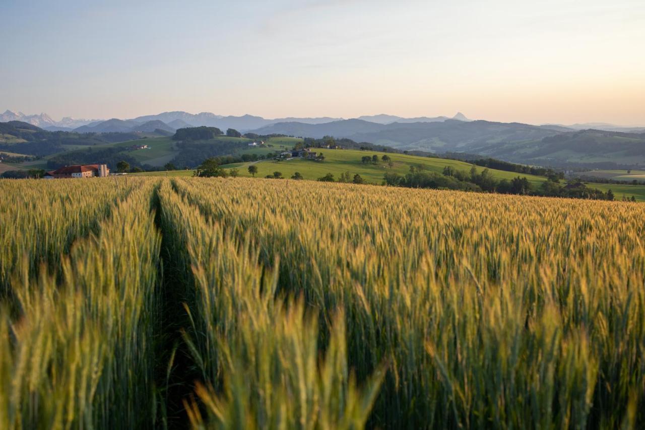 霍楚博格特酒店 Aschach an der Steyr 外观 照片